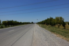 021-Samark-8-Juli-26