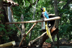 Parque Natural El Gallineral, San Gil.