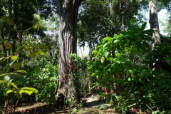 Parque Natural El Gallineral, San Gil.