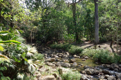 Parque Natural El Gallineral, San Gil.