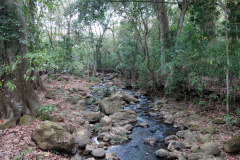 Parque Natural El Gallineral, San Gil.