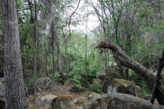 Parque Natural El Gallineral, San Gil.