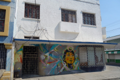 Gatuscen i centrala Santa Marta.