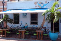 Gatuscen i centrala Santa Marta.