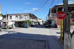Gatuscen i San Pedro, Ambergris Caye.