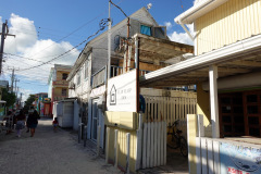 Gatuscen i San Pedro, Ambergris Caye.