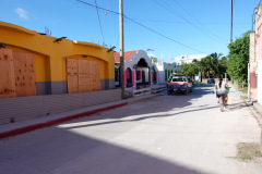 Gatuscen i San Pedro, Ambergris Caye.
