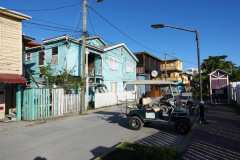 Gatuscen i San Pedro, Ambergris Caye.