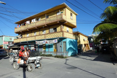 Gatuscen i San Pedro, Ambergris Caye.