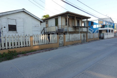 Gatuscen i San Pedro, Ambergris Caye.