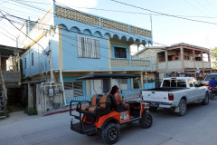 Gatuscen i San Pedro, Ambergris Caye.