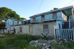 Gatuscen i San Pedro, Ambergris Caye.
