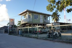 Gatuscen i San Pedro, Ambergris Caye.