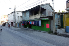 Gatuscen i San Pedro, Ambergris Caye.