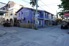 Gatuscen i San Pedro, Ambergris Caye.