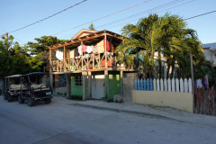 Gatuscen i San Pedro, Ambergris Caye.