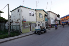 Gatuscen i San Pedro, Ambergris Caye.