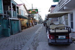 Gatuscen i San Pedro, Ambergris Caye.