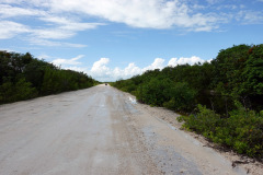 En lite bättre del av grusvägen till Secret Beach, Ambergris Caye. Här finns mycket krokodiler.