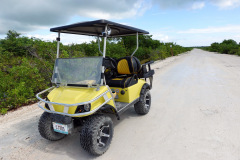 Häftigt att det det står La Isla Bonita på registreringsskyltarna på ön, Ambergris Caye.