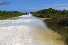 Dessa översvämningar var läskiga att köra igenom då det var svårt att uppskatta hur djupa dom var. I det här fallet hade jag redan kört igenom åt andra hållet, Ambergris Caye.