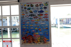 Ambergris Divers högkvarter, San Pedro.