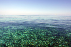 Det fantastiska vattnet ute vid revet utanför Ambergris Caye.