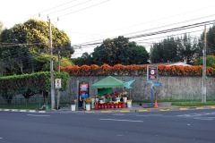 Försäljning av blommor, San Benito, San Salvador.