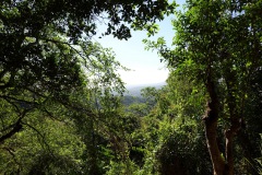 Djungeln vid Puerta del Diablo, Panchimalco, San Salvador.