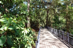 Parque Nacional El Boquerón, Volcán San Salvador.