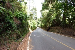 Promenaden ner från Parque Nacional El Boquerón, Volcán San Salvador.