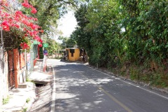 Promenaden ner från Parque Nacional El Boquerón, Volcán San Salvador.