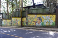 Murmålning längs vägen på promenaden ner från Parque Nacional El Boquerón, Volcán San Salvador.