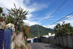 Promenaden ner från Parque Nacional El Boquerón, Volcán San Salvador.