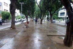 Gatuscen längs Rothschild Boulevard, Tel Aviv.