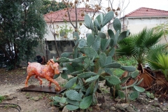 Neve Tzedek, den äldsta stadsdelen i Tel Aviv.