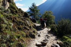 Jakar längs EBC-trekken mellan Namche Bazaar och Tengboche.