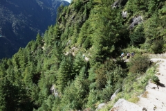 Leden längs EBC-trekken mellan Namche Bazaar och Tengboche.