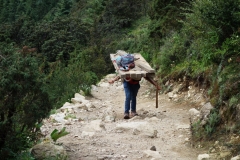 Sherpa som bär virke längs EBC-trekken uppför den kraftiga stigningen från Phunki Tenga upp mot Tengboche.