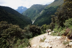 Sherpa som bär virke längs EBC-trekken uppför den kraftiga stigningen från Phunki Tenga upp mot Tengboche.