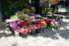 Blomförsäljning i centrala Tirana.