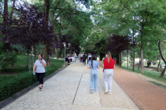 Leden runt  sjön  i parken Parku i Madh Kodrat e Liqenit, Tirana.