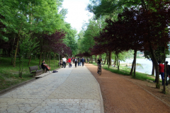 Leden runt  sjön  i parken Parku i Madh Kodrat e Liqenit, Tirana.