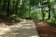 Leden runt  sjön  i parken Parku i Madh Kodrat e Liqenit, Tirana.