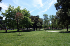 Rinia Park, Tirana.