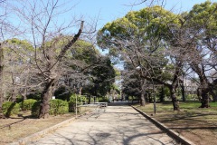 Ueno Park, Tokyo.