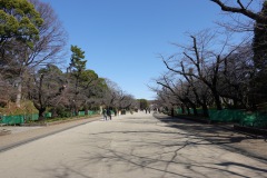 Ueno Park, Tokyo.