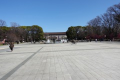 Ueno Park, Tokyo.