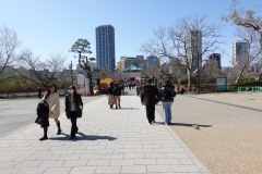 Vy mot Shinobazu-dammen, Ueno Park, Tokyo.