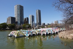 Svanbåtar för uthyrning i Shinobazu-dammen, Ueno Park, Tokyo.
